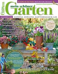 Agapanthus Uberwintern Die Besten Tipps Mein Schoner Garten In 2020 Pflanzen Gartentipps Garten
