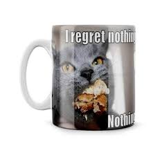 I Regret Nothing Nothing Quote Internet Meme Coffee Mug Tea Cup Reddit 4chan Cake Eating Kitten Cat Dieting Gift For Dieter Amazon Co Uk Handmade Products
