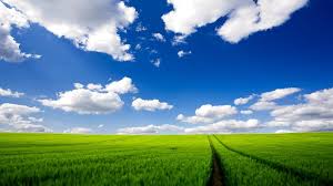 High Resolution Pc Wallpaper Hd Nature 1024x576 Wallpaper Teahub Io | looking for the best 1024 x 576 wallpaper? high resolution pc wallpaper hd nature