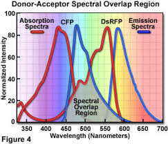 نتیجه جستجوی لغت [fret] در گوگل