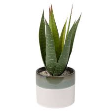 Artificial Aloe Vera In Two Tone Ceramic Pot Pots En Ceramique Tapis Jardin Plantes Artificielles