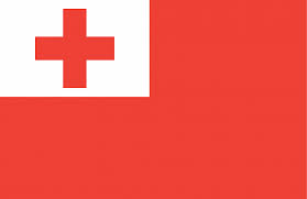 The flag does not appear in nascar or iracing. Soviet Union But It Was Colonised By The Red Cross Vexillologycirclejerk