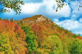 Find airports near little rock, ar. 12 Top Rated Attractions Things To Do In Little Rock Ar Planetware