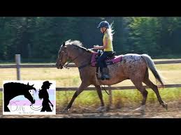 If you think your riding ability is adequate and an experienced horse person such as a riding instructor agrees, consider the following points: Horseback Riding Youtube