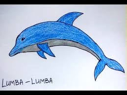 Ikan adalah binatang yang dapat ditemukan di seluruh dunia. Cara Menggambar Ikan Lumba Lumba Youtube