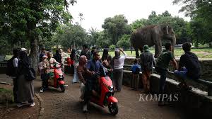 Kompas.id - News update