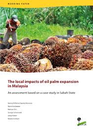 A wide variety of sabah palm oil options are available to you, such as cooking, season. Land Cover Analysis Using Landsat Prior To Oil Palm Plantation Download Scientific Diagram