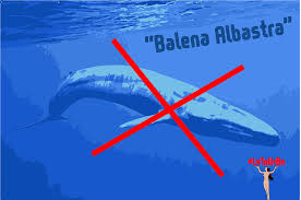 Anxietatea si depresia sunt tulburari des intalnite, care se pot rezolva relativ usor, insa pot devenii de nesuportat cand ajung in stare grava. Leviatanul Urban Balena Albastra Sau Felul In Care Presa Reuseste Sa Creeze O Frica Nejustificata Ma Gandeam La Un Titlu Si Cred Ca Asta Ar Trebui Sa Fie Cel Mai Bun