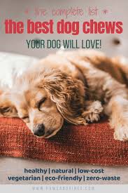 Healthy Alternatives To Bully Sticks For Dogs Dog Friends Zero Waste Pet Hacks