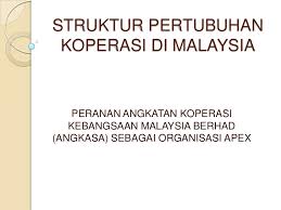 3dya juga makdumat lain saya yang desimoan oleh angkasa, sebagai halasan hagi yang lersebut di atas, saya dengen. Peranan Angkasa Sebagai Organisasi Apex