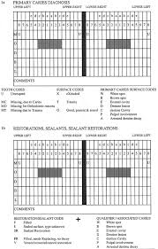 A Chart To Record Teeth Present Unerupted Teeth Missing