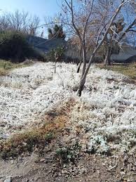 Rosendo Rendon Avila