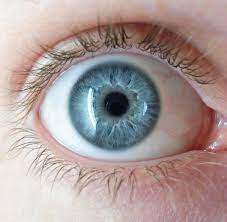 We did not find results for: What Your Eye Color Really Says About You