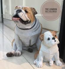 Mascots At The London West Hollywood Hotel Luxury Hotel Bulldog West Hollywood Los Angeles California Dog Hotel London West Hollywood Bulldog