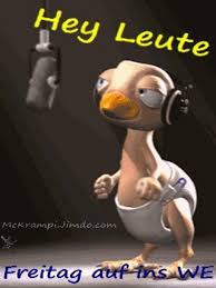 Lustig gif gif images download. Bilderlustigman Kostenlos Lustige Tierbilder Gif