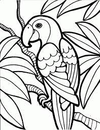 Parrot is a colorful bird; Free Printable Parrot Coloring Pages For Kids