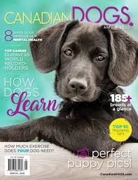 Fire pit plans diy garage 😋diy pete. Canadian Dogs Annual 2020 By Redstone Media Group Issuu
