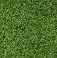 Lush Green Grass Texture Background Grass Textures Grass Texture Seamless Artificial Grass