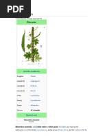 Image result for Momordica corymbifera