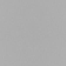 Image result for Birch Gray 1954 Fleet