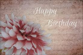 We did not find results for: Vintage Dahlia Happy Birthday Photograph By Teresa Wilson