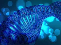 , dna wallpapers high resolution wallpapers 1920×1200. Free Download Blue Dna Wallpaper 1600x1200 Blue Dna Dna Wallpaper High Resolution 1600x1200 For Your Desktop Mobile Tablet Explore 46 Dna Wallpaper High Resolution Tech Hd Wallpapers Hd Dna