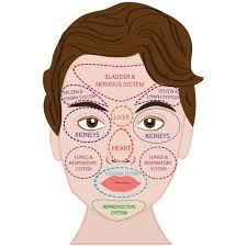 Facial Diagnosis Chart Denny Waxman Macrobiotic Counselor