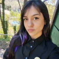 400+ perfis com “Pam Pam”