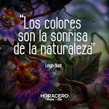 Los Colores Son La Sonrisa De La Naturaleza Leigh Hunt Frases Citas Frasedeldia Frases Naturaleza Frases Ambientales Frases De Pintores