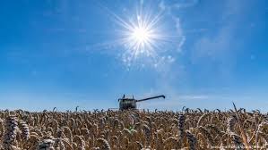 En clima podrás encontrar el pronóstico del tiempo para estados unidos para hoy, mañana y los próximos 14 días El Constitucional Aleman Considera Insuficiente La Ley De Proteccion Del Clima Proteccion Del Medioambiente Dw 29 04 2021