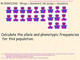 The frequency of two alleles in a gene pool is 0.19 (a) and 0.81(a). Hardy Weinberg Problem Set Mice Answer Key Hardy Weinberg Problem Set I Here Frequency Of All Dominant Phenotypes P2 2pq 60 60 100 0 6 Then Applying The Hardy Labels Baju Muslim