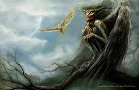 Image result for Striga hallaei