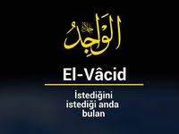 Ism I Celil Duasi Arapca Ve Turkce Okunusu Anlami Ve Faziletleri Nukteler Com Bird Wallpaper Bird Bird Photo