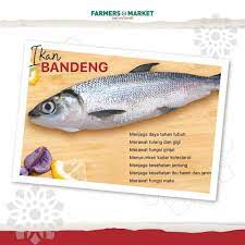 Makanan khas lampung ini dijamin bikin lidah berasa bergoyang karena hidangan ini dilengkapi dengan cabai yang pedas dan ditaburi bumbu yang gurih. à¦Ÿ à¦‡à¦Ÿ à¦° Farmers Market 99 Id Ikan Bandeng Merupakan Ikan Air Payau Yang Terkenal Memiliki Duri Yang Banyak Walaupun Begitu Tekstur Daging Ikan Bandeng Sangat Lembut Dan Rasanya Juga Sangat Lezat Cocok Untuk