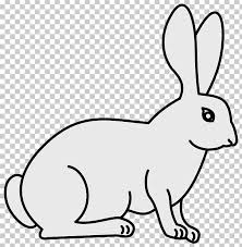 Short fur that can be white, black, 'broken', or various shades of red. New Zealand Rabbit White Rabbit Domestic Rabbit Animal Png Clipart Animal Animal Figure Black And White