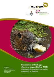 Pdf Risk Analysis Of The Coypu Myocastor Coypus Molina 1792 Risk Analysis Report Of Non Native Organisms In Belgium