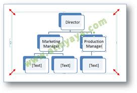 Dalam sebuah organisasi diperlukan sebuah struktur organisasi sebagai pedoman siapa saja yang berhak memberikan instruksi/komando serta siapa saja yang ber. Cara Mudah Membuat Struktur Organisasi Dengan Smart Art Cara Aimyaya Cara Semua Cara