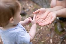 Nature Time Stories: Sunshine
