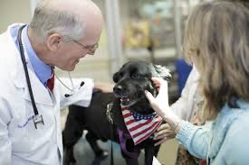 Visit university pet hospital in la mesa, ca and save 25% on your vet bill with a pet plan by pet thanksgiving weekend promotion. Oncology Small Animal Hospital College Of Veterinary Medicine University Of Florida