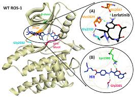 Image result for ROS1 Inhibitor