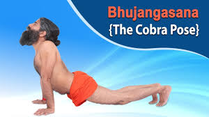 How To Do Bhujangasana The Cobra Pose Swami Ramdev Youtube