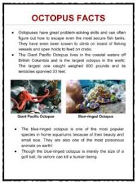 Octopus Facts Worksheets Habitat Information For Kids