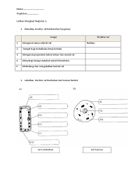 Latihan Sains Tingkatan 1 Pdf