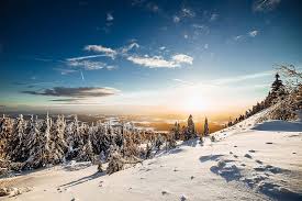 Image result for free winter images