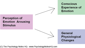 Cannon Bard Theory States That We Feel Emotions And Experience Physiological Reactions Such As Sweating Trembling And M Psychology Notes Emotions Psychology