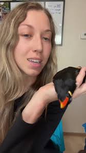 Enjoying the Catchy Song with Argyle the Mynah Bird