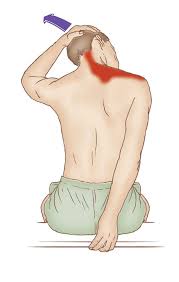Trapezius Muscle Stretches Google Search Muscle Stretches Stiff Shoulder Trapezius Stretch