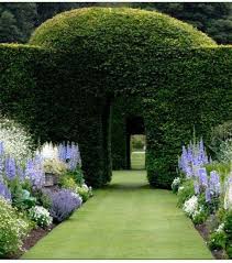 Scatter these liberally through the borders. Yew Hedging Arches Formal Garden Design Beautiful Gardens Cottage Garden