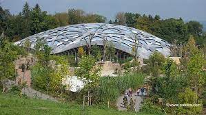 zurich es tut sich was im zoo zurich zoo unternehmungen