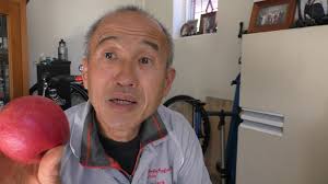 What colour is the apple?